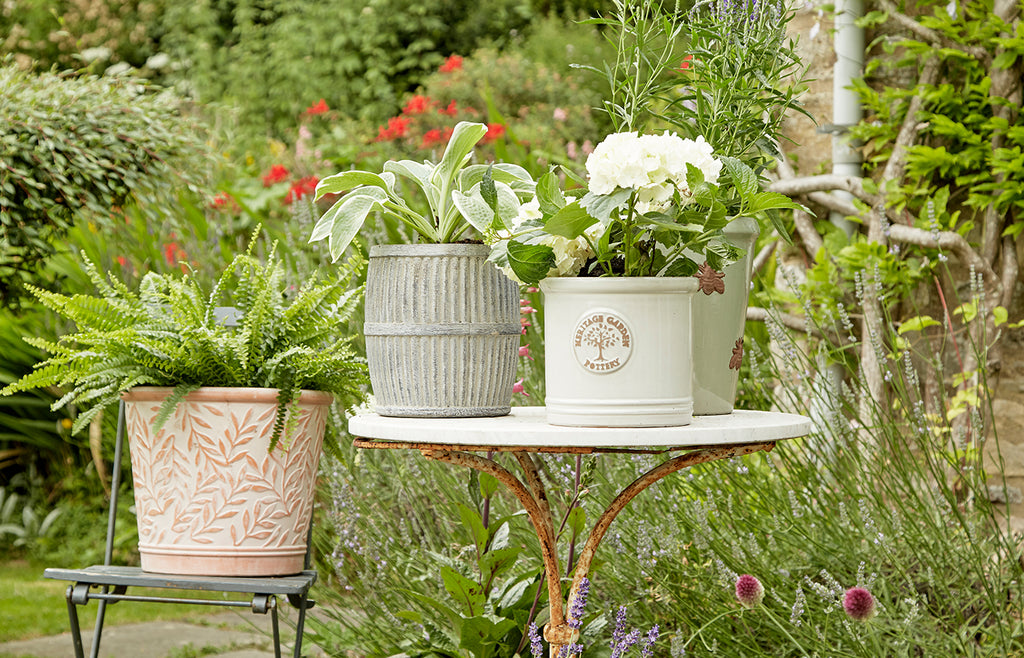 Heritage plant online pots