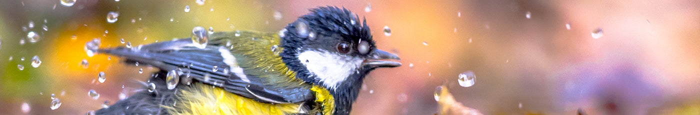 Birdbaths | Woodlodge UK Outdoor Living Collection