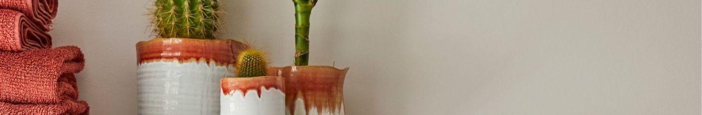 Indoor Ceramic Plant Pots | Woodlodge UK Indoor Plant Pot Collection