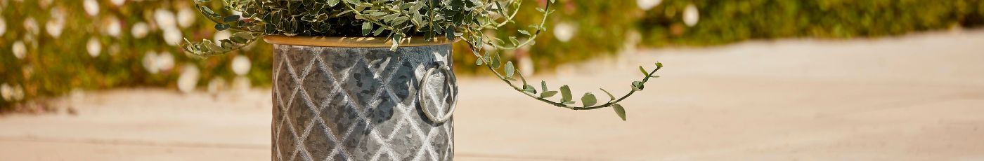 Rustic Plant Pots | Woodlodge UK Garden Plant Pot Collection