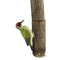 Resin Woodpecker