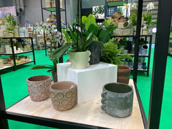 Woodlodge extends the top-selling Root Indoor collection at Glee