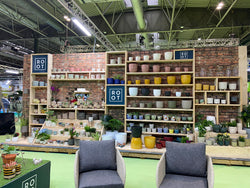 Woodlodge expands indoor offering as houseplant trend continues to take root