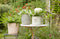 Caring for Container Gardens in Cold Weather