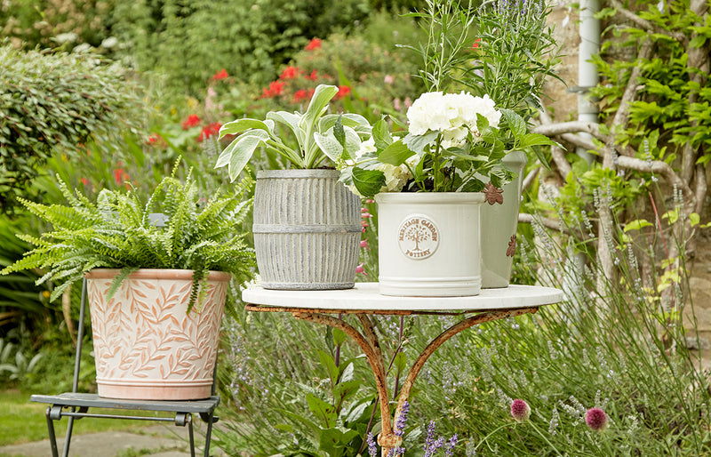 Caring for Container Gardens in Cold Weather