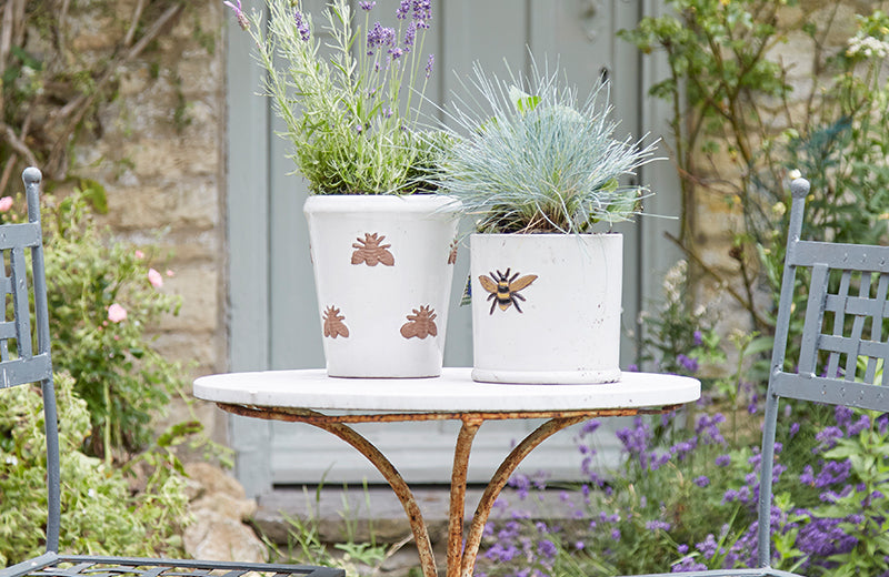 Enjoy Wildlife Friendly Container Gardening With Our New Bee Kind Collection