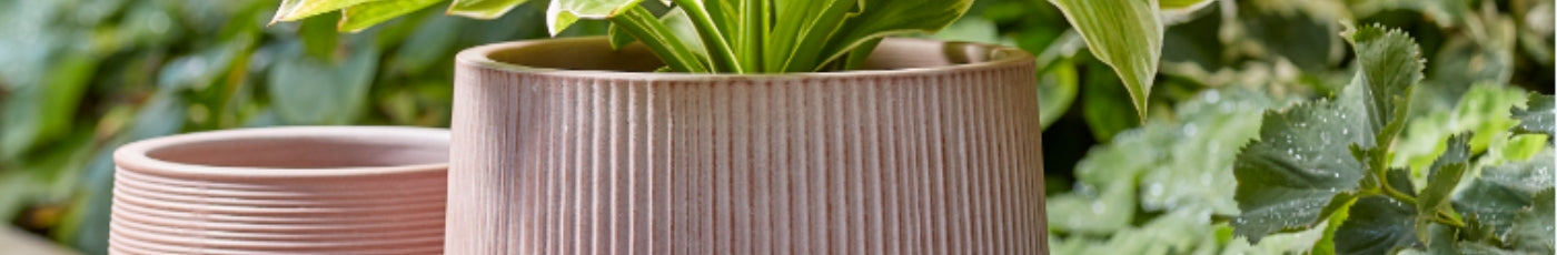 Premium Pottery