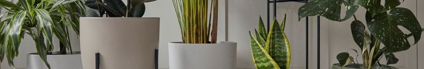 Indoor Plant Pots | Woodlodge UK Indoor Plant Pot Collection