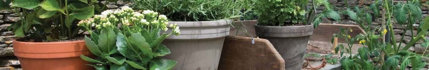 Potting Essentials | Woodlodge UK Garden Plant Pot Collection