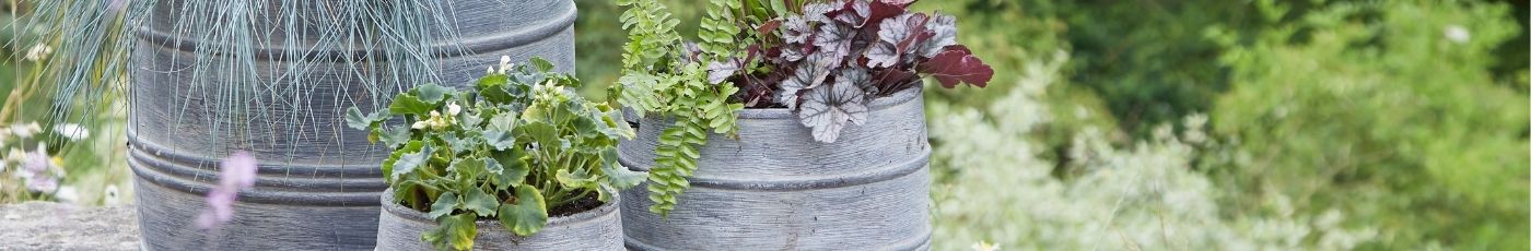Rustic Plant Pots | Woodlodge UK Garden Plant Pot Collection