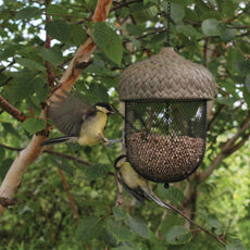 Acorn Seed Feeder Large