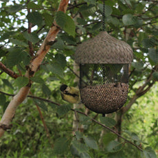 Acorn Feeder