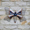Copper Wall Butterfly