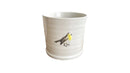 Robin Pot