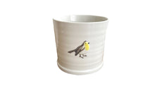 Robin Pot