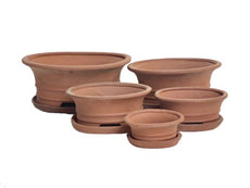 S5 Oval Terracotta Bonsai Pots