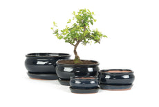 Rect Blue Bonsai Pots