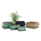 Rect Green Bonsai Pots