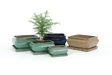 Rect Green Bonsai Saucer