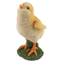 Resin Chick