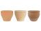 Cinnamon Pots