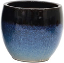 Cleo Reactive Blue 2 Pot
