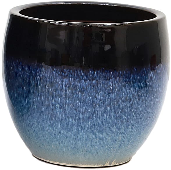 Cleo Reactive Blue 2 Pot