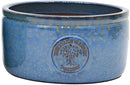 Edwin Lowcylin React Blu
