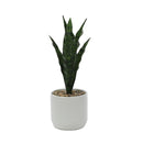 Faux Plant White Pots