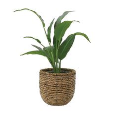 Faux Plants In Rattan Basket