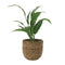 Faux Plants In Rattan Basket