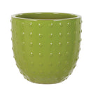 Fiesta Egg Pots Green