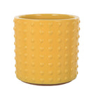 Fiesta Pots Yellow