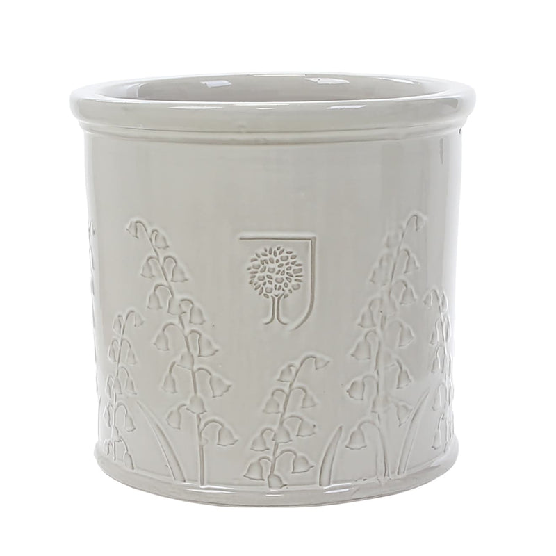 RHS Flora Glazed Bluebell