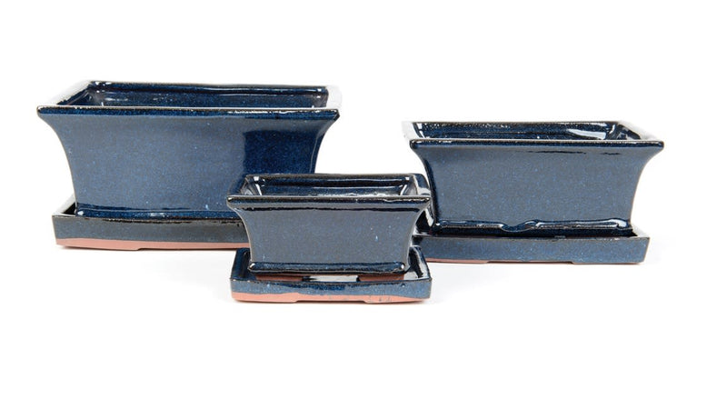 Rect Blue Bonsai Pots