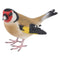 Resin Goldfinch