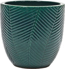 Ivy Dark Green Set Of 4