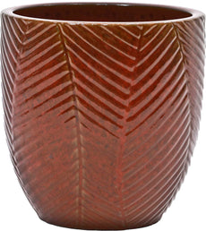 Ivy Red Set Of 4