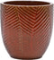 Ivy Red Set Of 4