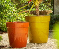 Julieno Yellow Set Of 2 Pots