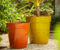 Julieno Yellow Set Of 2 Pots