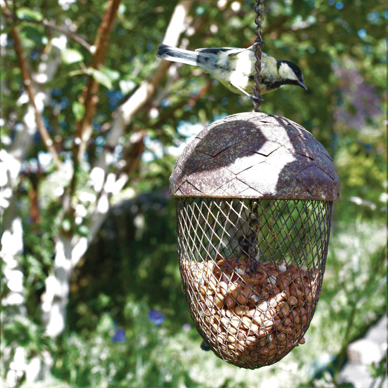 Acorn Feeder