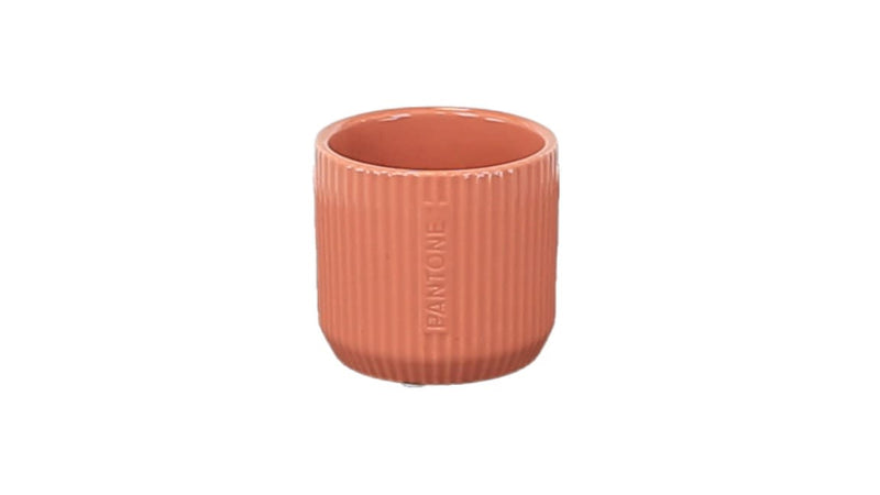 16cm Pantone Rib - Pink