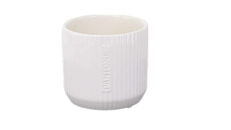 16cm Pantone Rib - White