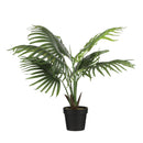 Fan Palm In Pot Green 80cm