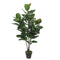 Rubber Plant Pot Green 130c