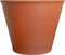 Tcotta Pot With Rim