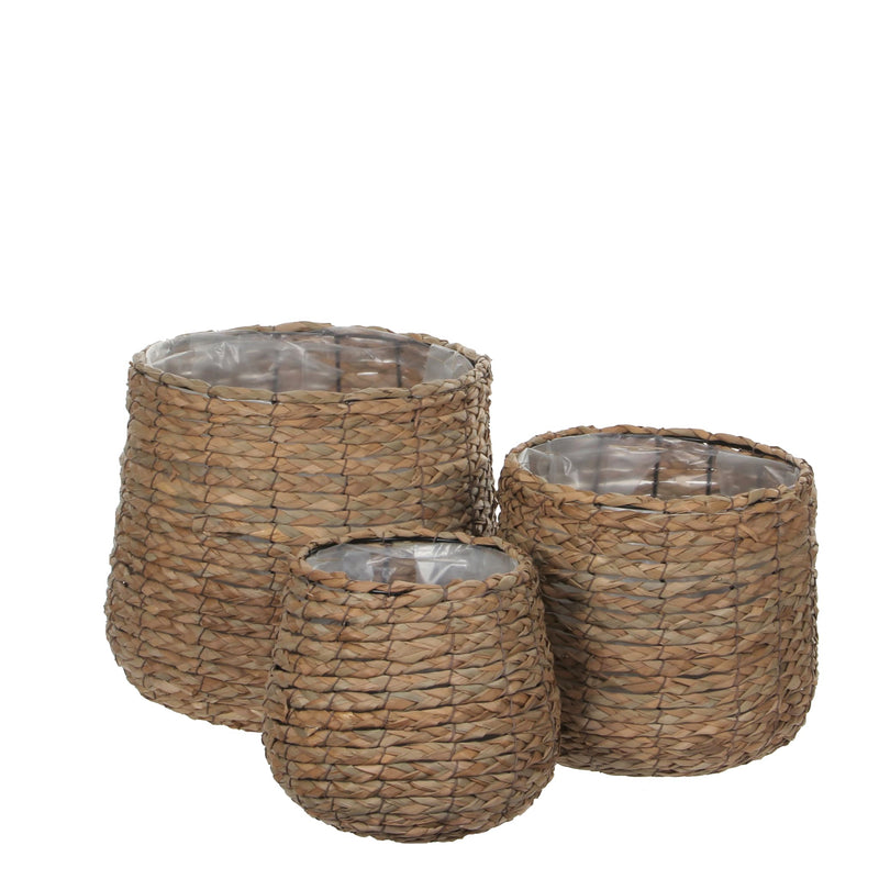 Sencha Baskets