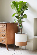 Speckle Pot With Stand