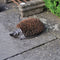 Hedgehog Scraper 1